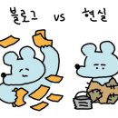 이레김밥 이미지