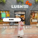 일본 러쉬 산리오 고베 쇼핑리스트 텍스프리 살 만한 아이템은 무엇