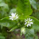 소망마트 이미지