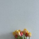 (주)캠퍼스 대구가톨릭대학교교직원식당 | 수의대 편입 1달째,, 수의과대학 본과 1학년 1학기 3월 후기