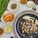 금오산금오리 Daum카페