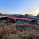 (주)고래푸드 이미지