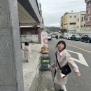 슬로우루스트(Slow Roost) 네이버블로그