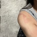 아직도 헤어 나오지 못한 시드니에서