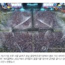 싸이 콘서트 후 코로나 확진후기 이어져.."내일 2022 흠뻑쇼 수원도 매진인데" 이미지