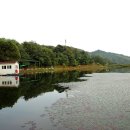 봉황지 이미지