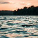 캠퍼스타운한의원 이미지