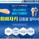 온누리 항공투어 이미지