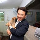 펫웨이브 동물의료센터 이미지