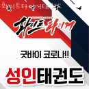 화이트 타이거 태권도 | 구로동요가 화이트타이거태권도 레슨 문의