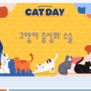 워너비동물병원 용산점 이미지