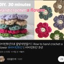 대전24시 센트럴동물병원 이미지