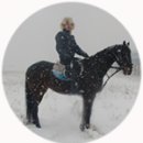 훼밀리승마클럽 Daum카페