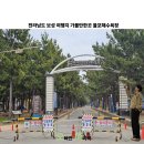 카페 드롭탑 보성율포점 | 전라남도 보성 여행지 가볼만한곳 율포해수욕장