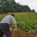 솔소리농장 이미지