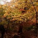 덕산2세천 이미지