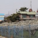 대일농원