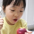 도원농원 이미지