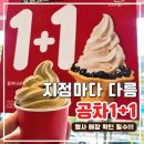 하하소프트 | 공차 이벤트, 소프트아이스크림 1+1 후기 대전 노은점 (지점마다 다름)