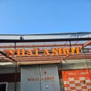 왓어샷파주 | 일산실내테니스 대관 가능한 왓어샷 일산점