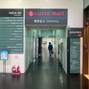 메디칼 세븐(7) 이미지