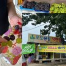 진천 ‘산포도원’ 샤인머스켓 :: 유명한 충북 진천...맛 나는 진짜 샤인머스캣 후기/추석 명절 선물...