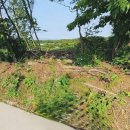 서귀포대신중학교 이미지