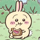우사기 - 강서구 마곡중앙로 161-8 | 우사기