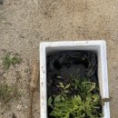 진섭농장 이미지