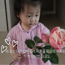 네추럴솝 이미지