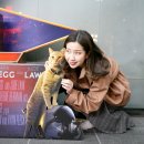 내 돈 주고 산 윙블링 귀찌 리얼 후기♥