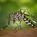 (주)지카 이미지