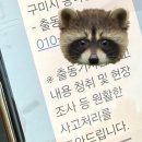 선누리