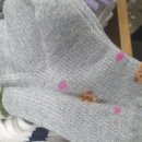 양말카페 이미지