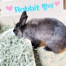 나주배유기 이미지