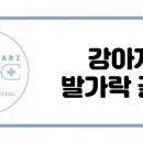 다산마리동물병원 이미지