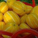 선비골농장 이미지