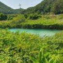 정동진놀자 이미지