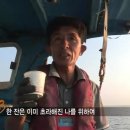 이모포차 이미지