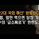 &#39;22대 국회 해산&#39; 기막힌 방법 제시한 신문은? 이봉규TV﻿ 이미지