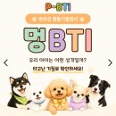 [강아지 MBTI] 산책 중 짖음·줄당김 등의 문제행동, 멍BTI 검사로 이유를 알게 됐어요!