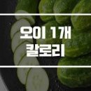 오이효능 종류 영양성분 오이 1개 칼로리 알아봐요 이미지