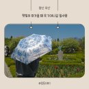 영국 감성을 로라애슐리 초경량 암막 양우산 후기