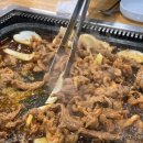 완인농장 이미지