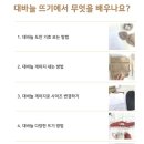 박형아는뜨개쟁이아카데미