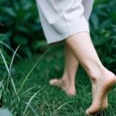 천천온누리약국 이미지