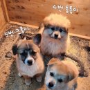 므네메