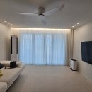 금산느티나무 이미지