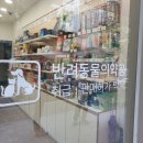 해경아는약국