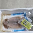 동바다수산 반건조오징어추천 맛있는안주추천 건강간식추천 정보 후기 맛